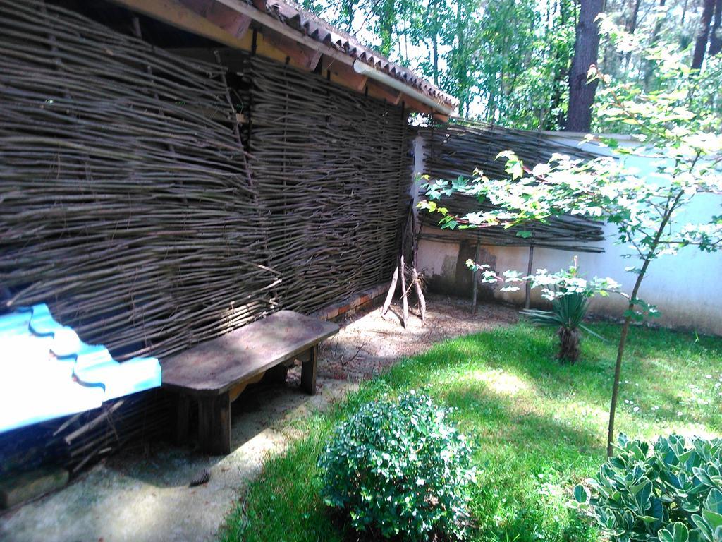 Kolkhida Resort & Spa Ureki Buitenkant foto